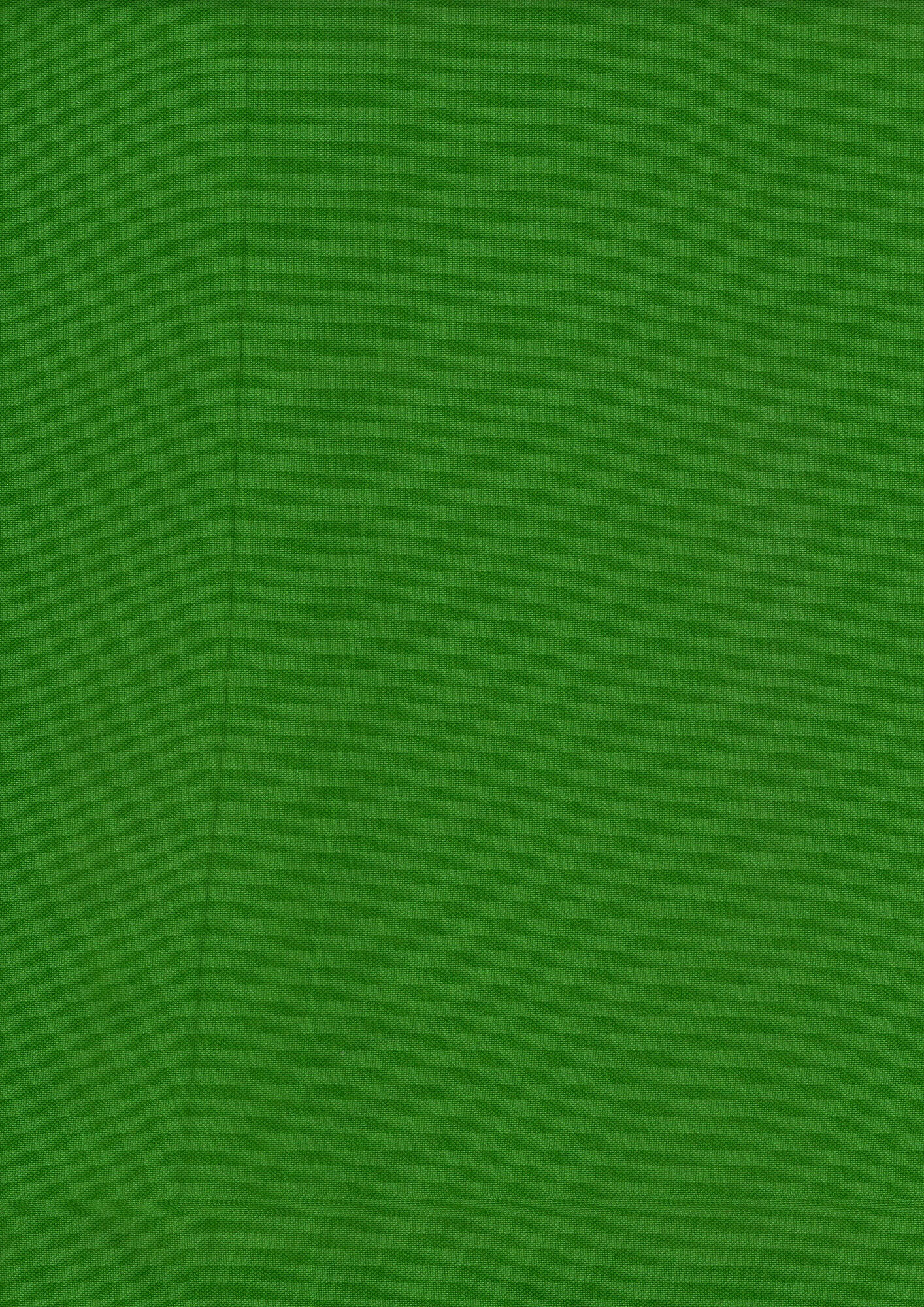 Oxford Liso Verde Bandeira