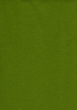 Feltro Verde Musgo Claro